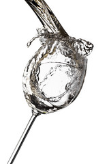 Wine isolated on white background