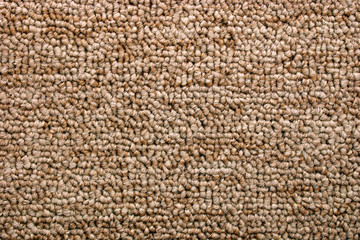 Bright brown carpet (Texture)