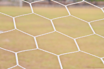 Fototapeta premium football net, green grass