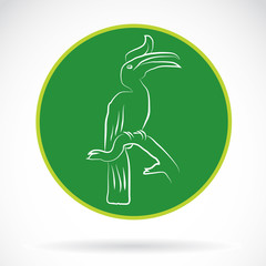 Vector image of an hornbill , illustration - vector © yod67