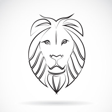 Vector image of an lion , illustration - vector