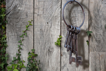 Ancient key ring, rustic garden