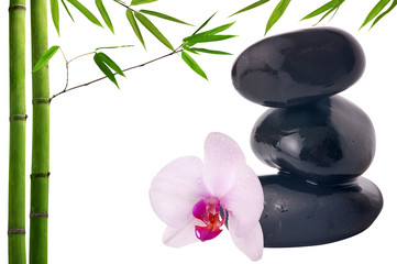 composition with black stones, bamboo and orchid