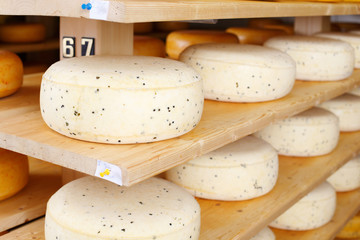 junger käse im reiferaum
