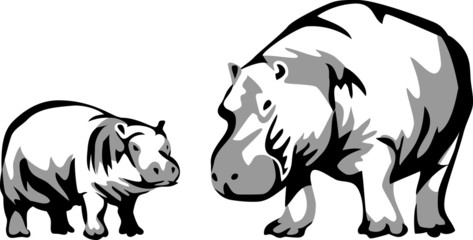 hippopotamus with young