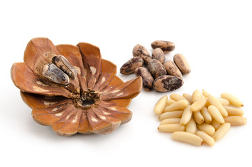 Geschälte und ungeschälte Pinienkerne