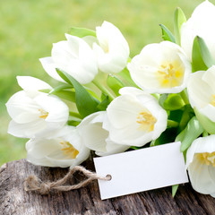 Tulpen, Label