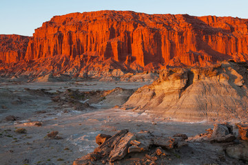 Moon Valley, national park Ischigualasto, San Juan, Argentina