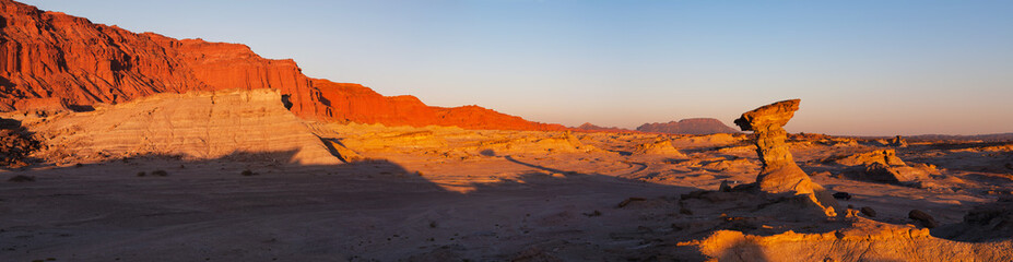 Moon Valley, national park Ischigualasto, San Juan, Argentina