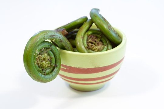 Fiddleheads in Bowl