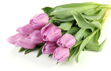 Beautiful bouquet of purple tulips, isolated on white