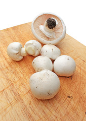 frische champignon auf holzbrett