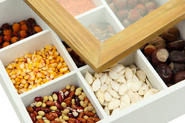 Assortment of chestnut,beans,.dry briar, nuts etc in white