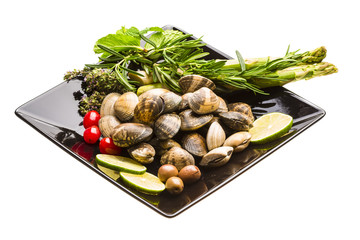 Spanish mollusc - Almeja