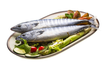 Fresh Atlanticmackerel