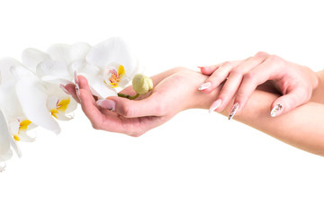 hands of the girl holding an orchid on isolated white