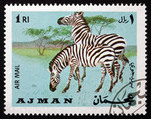 Postage stamp Ajman 1969 Plains Zebra, Equus Quagga, Animal