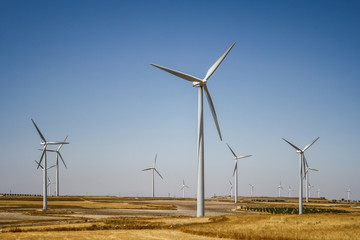 Wind turbines farm in middle of fields