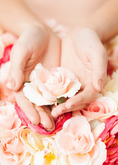 Fototapeta na wymiar woman's hands holding rose