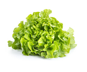 fresh green salad with CLIPPING PATH