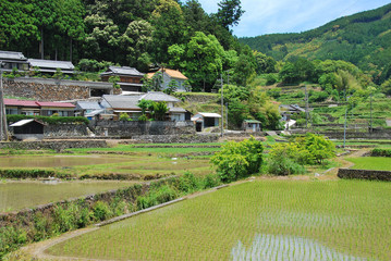 Village de Tosayamadacho Sakakawa, Shikoku