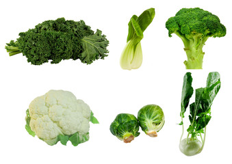 kale,boc choy,broccoli,cauliflower,brussel sprouts,kohlrabi