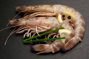 Mazzancolle