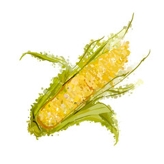 Ear of corn vector isolated on white