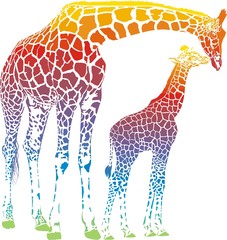 Obraz premium vector rainbow giraffe mother with cub