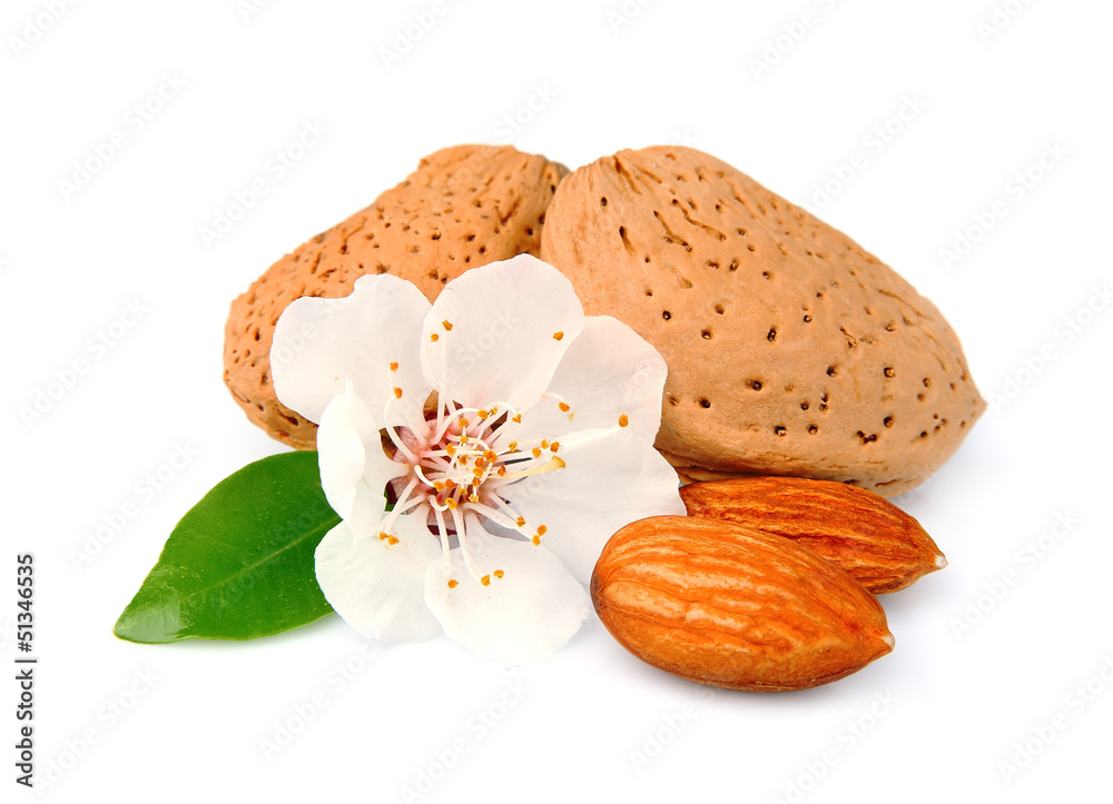 Sticker almonds with leaves and flowers