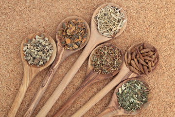 Alternative Medicine