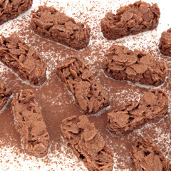 Chocolate Crispy Biscuits