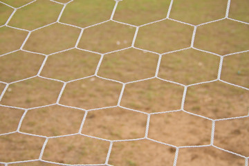 football net, green grass