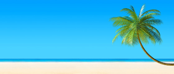 Fototapeta na wymiar 3d render of Tropical beach panorama with palm tree