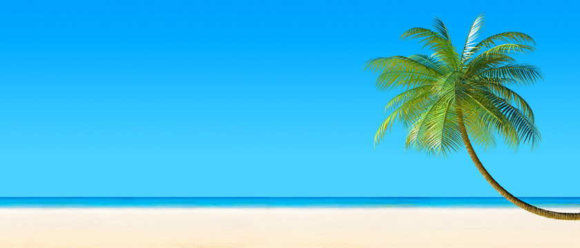 3d render of Tropical beach panorama with palm tree