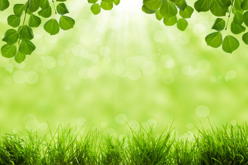 natural green background