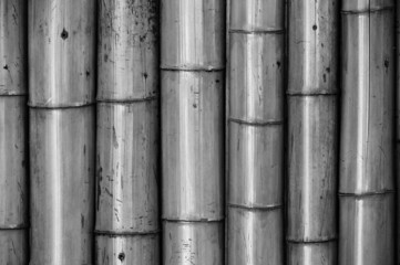 Bamboo wall