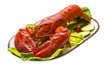 Large Lobster