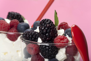 Joghurt-Mousse mit Buntem Beeren-Mix