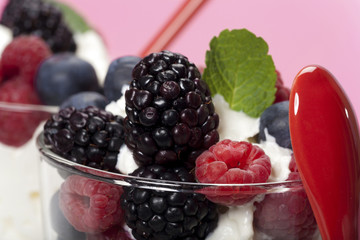 Joghurt-Mousse mit Buntem Beeren-Mix