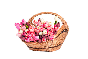 Fototapeta na wymiar Tulips in the basket on a white background. Spring mood.