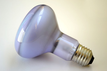 bulb