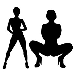 Fototapeta premium set , beautiful stripper posing