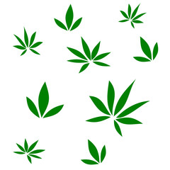 set of green lily or cannabis