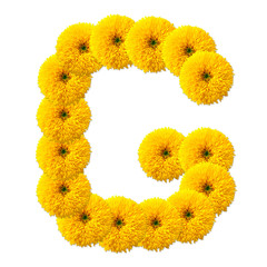 letter of the alphabet of flowers