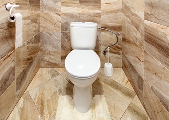 Luxury toilet