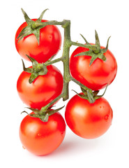 Branch of cherry tomatoes isolated on white background