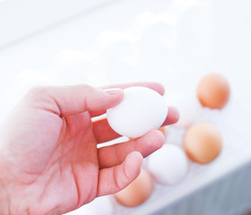 male hand holding white egg in front of package full of other eg