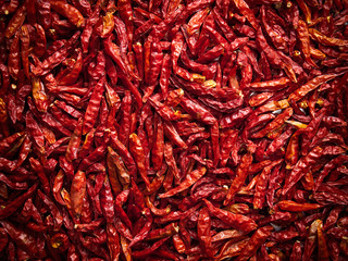Fototapeta premium Dry Chili