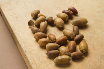 Oak and ilex acorns on wooden background